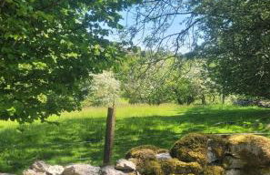 Cwt Cen y Coed - Foto 6