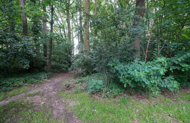 Stay With Garden, Limburg - Foto 29