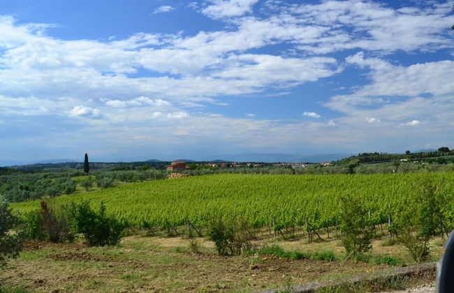 Scenic Escape in the Chianti - Photo 39