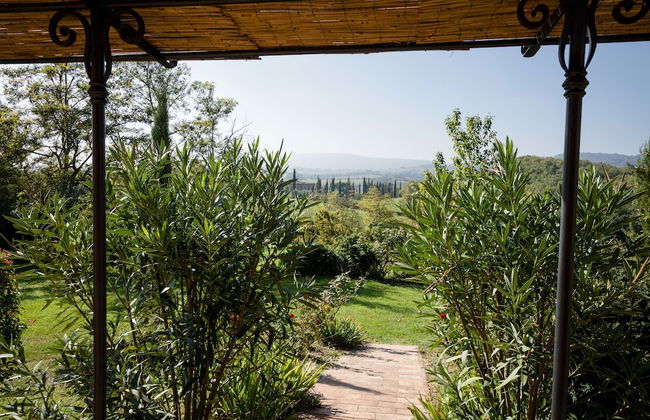 Fattoria Sant'Andrea - Photo 48