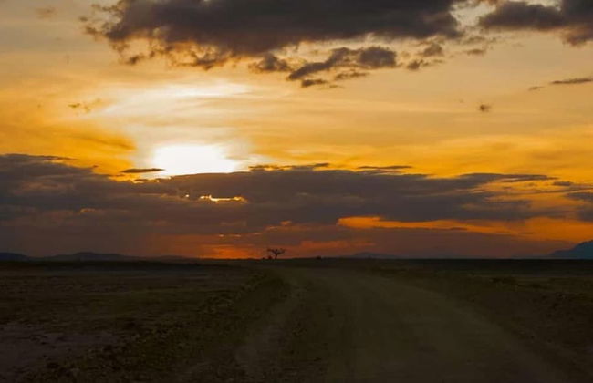 Amanya 1-bed Zebra Tent - Foto 9