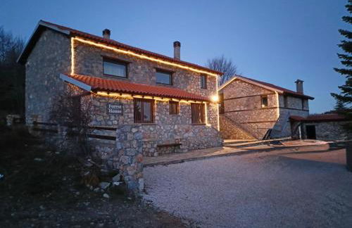 Forest House - Foto 20