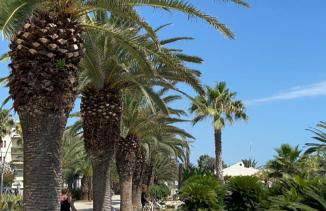 Bella Alba Apartment on the beach - Foto 26