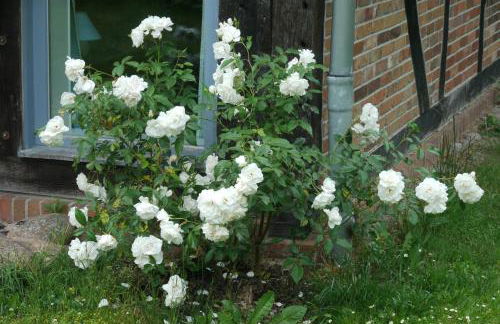 Deelenwohnung - Foto 11