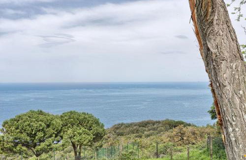 Studio La Gorgona - Foto 12