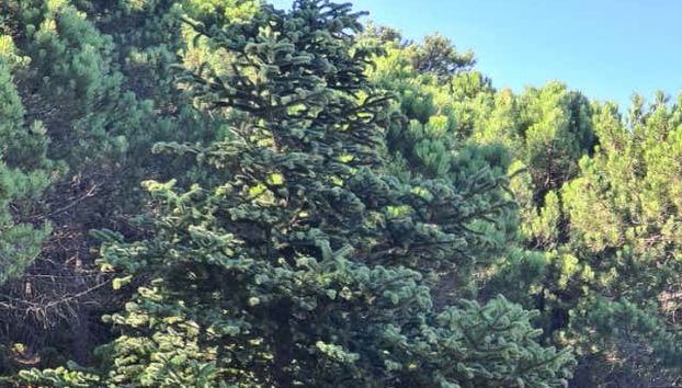 Spend a day surrounded by nature