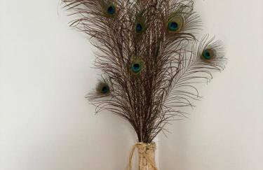 Melhor Ap Poços de Caldas - Foto 16