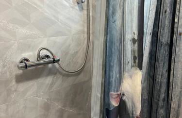 Ye Old Lambing Lodge - Spring Paddock - Photo 10