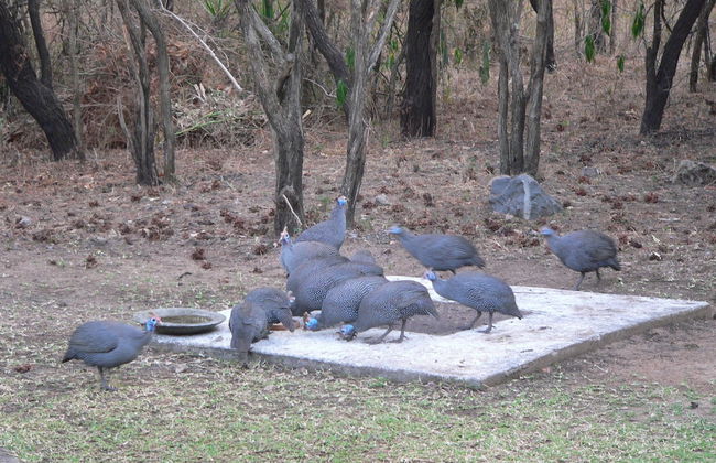 Kruger Cottage - Foto 32