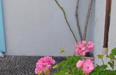 Casa da Madalena do Mar - Foto 45