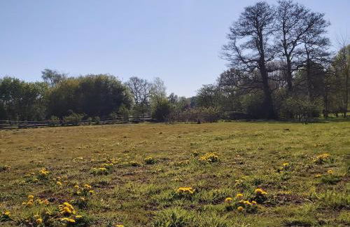 CountryHouse - Foto 8