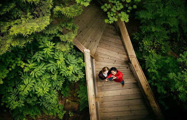 Ticket to Capilano Suspension Bridge Park - Foto 7