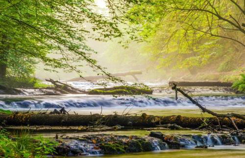 Domek wczasowy Zielony Dół na Roztoczu - Foto 17