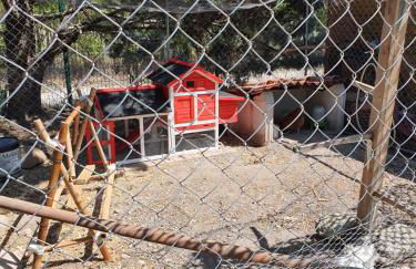 Le nid’Ange - Foto 6