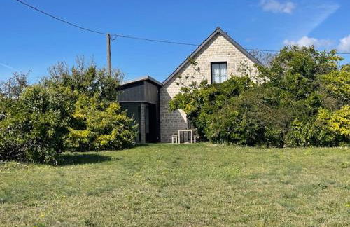 Les coquilles la Torche - Photo 18