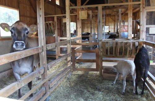 Eco Urbión - Foto 117