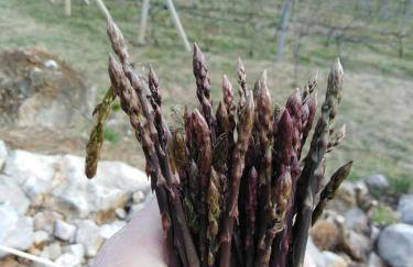 Apartman Milanko - Foto 36