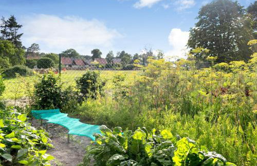 Ferienhaus Engert mit Holzofensauna - Photo 18