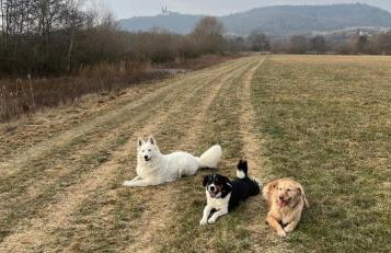 Ferienhaus Fachwerkzauber - Foto 19