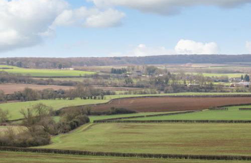 Bumble Bee - Photo 27