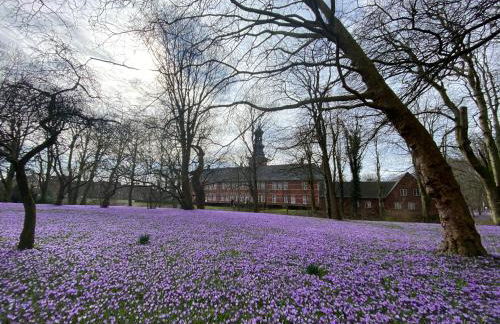 Friesenhof Küper - Foto 7