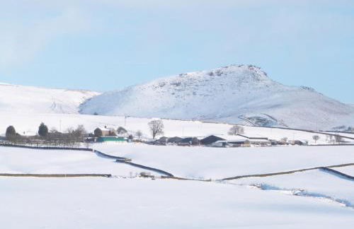 Orchard Cottage - Foto 23