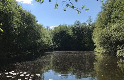 Peaceful, comfortable retreat with pool - Foto 48