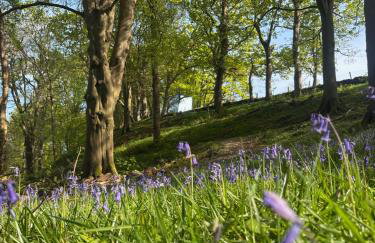 ARA Cabin - Mêl - Foto 40