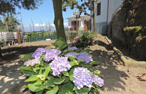 Johanna’s house - Foto 34