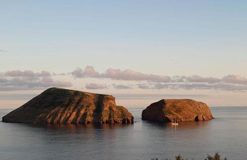 Casa da Avó Couta - Photo 24