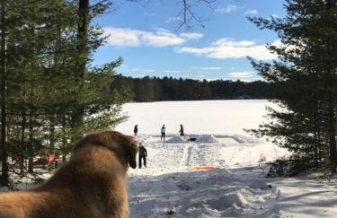 The Cub Hill Chalet - Private Lakefront with Spa! - Foto 22