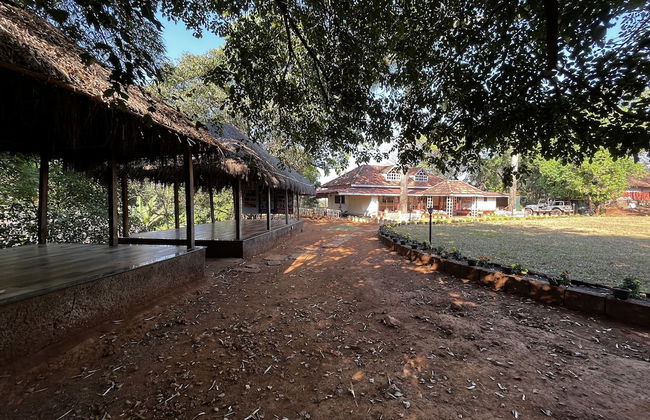 Forest Trails Adventure Resort - Foto 16