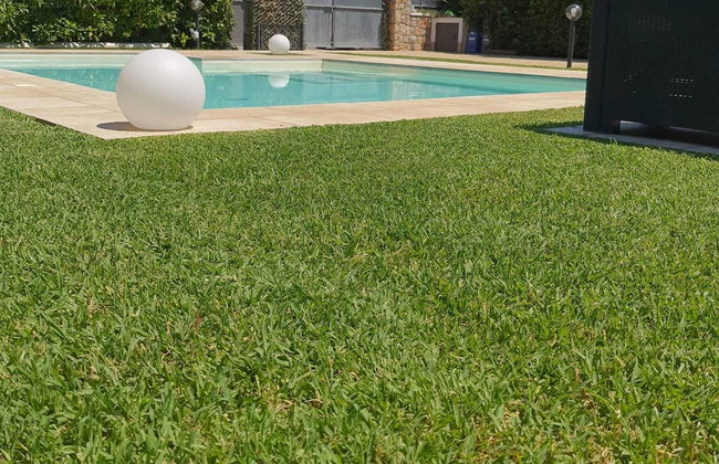 Terrasini Villa With Pool - Photo 16