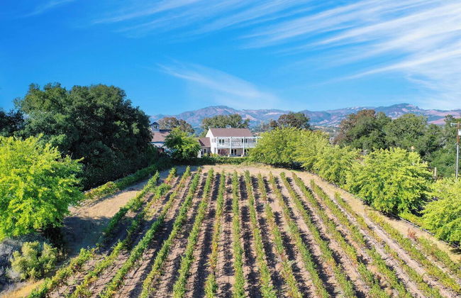 Sonoma Sunshine by Avantstay Countryside Views - Foto 47