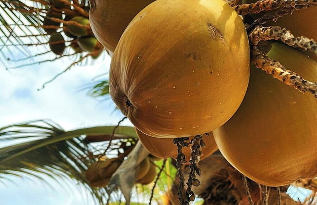 Cabaña San Andrés - Foto 33