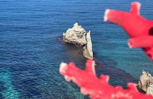 Villa Eco-Chic - Foto 9