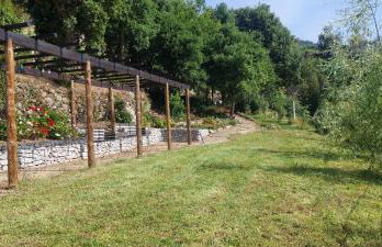 Bosque da Fantasia - Foto 8