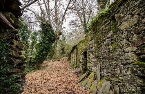 casa ferreirua - Foto 33