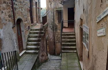 Il nido sulla terrazza - Foto 14