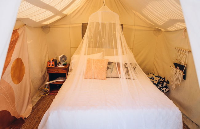 Dreamers Writing Farm - Foto 27