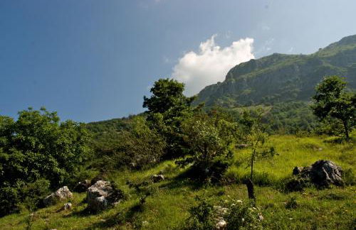 Alpeggio Pruno - Foto 24