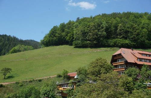 Ehrenmättlehof Faißt - Foto 15