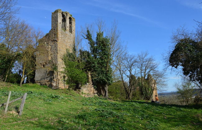 Fattoria Lucciano - Foto 48