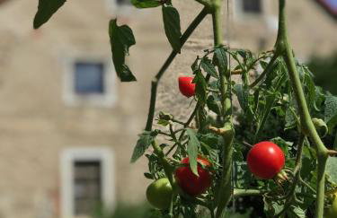 Czerwony Dworek 8 - Agroturystyka Karkonosze - Foto 20