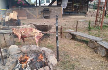 Gospodarstwo agroturystyczne - Foto 70