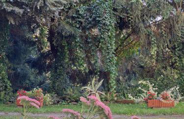 Przy pałacu - Foto 20