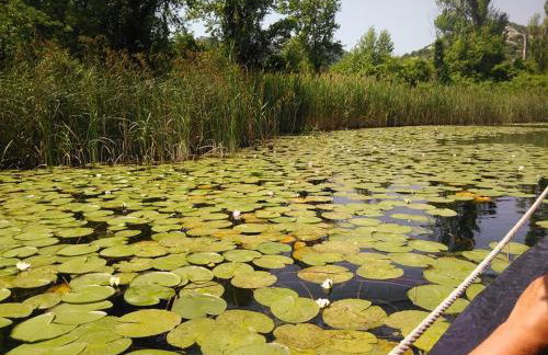 Apartments Bogunovic - Foto 3