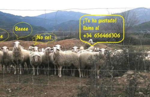 Duplex La Valle Ordesa-Ainsa - Photo 16