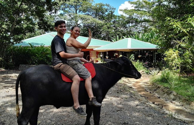 Hotel Finca L’Étoile Celeste - Foto 33