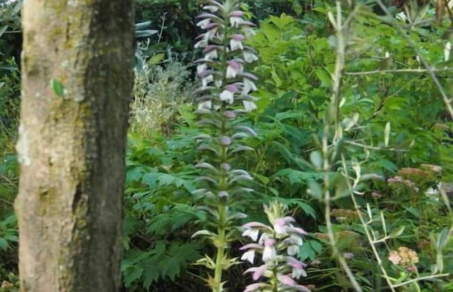 I Parigi Corbinelli - Foto 33